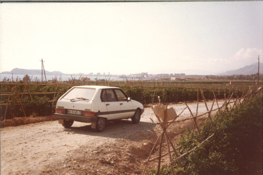 Campo de tomate al aire libre 1969